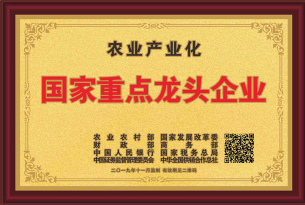 殊榮加身！湘豐茶業(yè)集團再獲標桿龍頭企業(yè)和優(yōu)勢特色產(chǎn)業(yè)30強等稱號