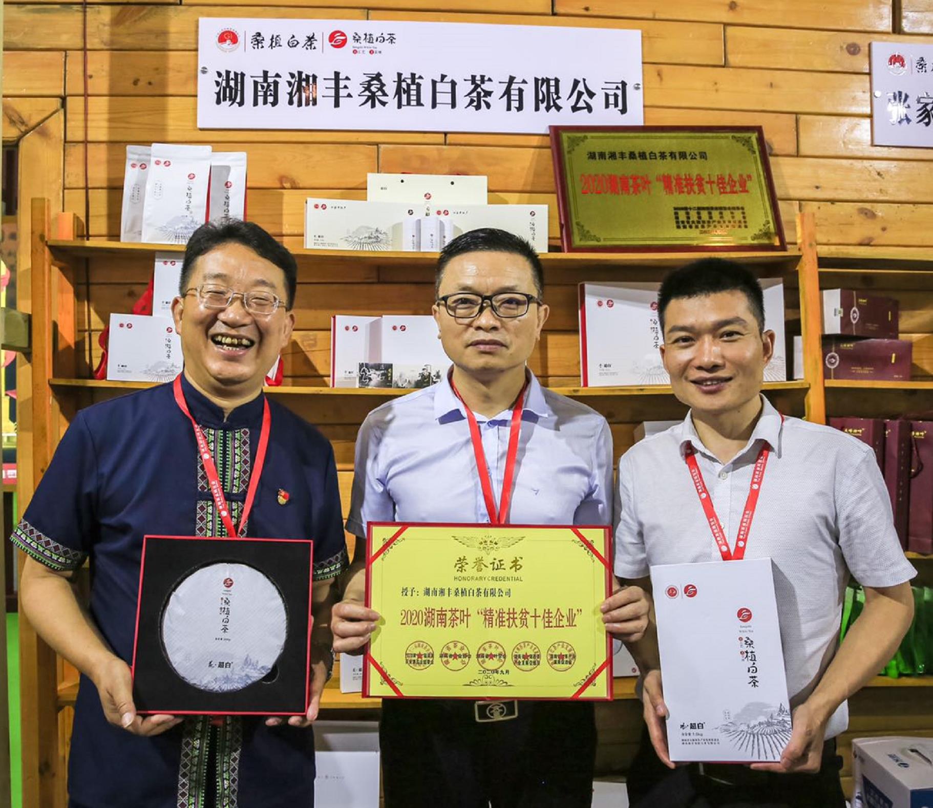 榮耀三連！湘豐桑植白茶再獲金獎(jiǎng)