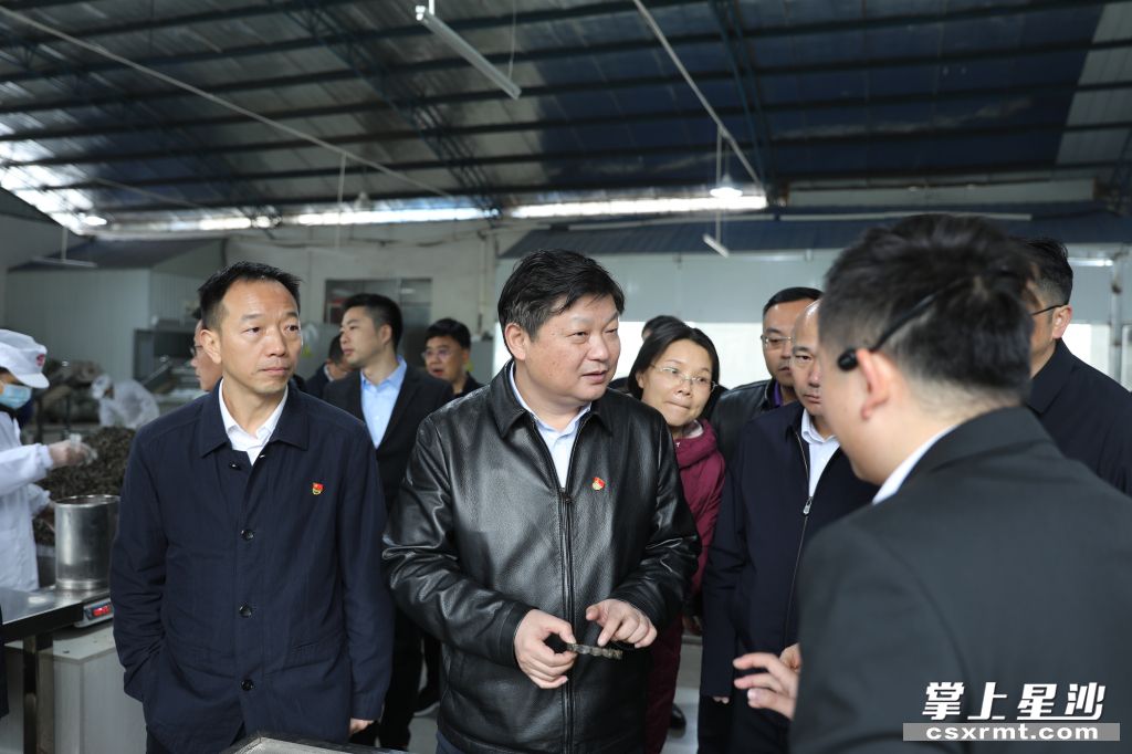 付旭明在湘豐桑植白茶洪家關(guān)工廠調(diào)研產(chǎn)業(yè)發(fā)展情況。.jpg