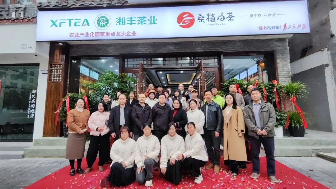 湘豐茶業·桑植白茶張家界武陵源旗艦店盛大開業！